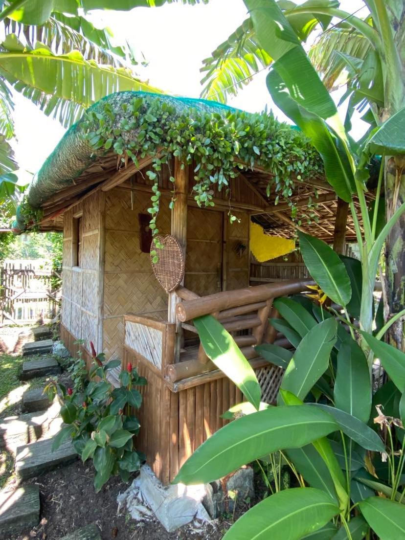 Dupas Luce Love Lodges Talipan Экстерьер фото
