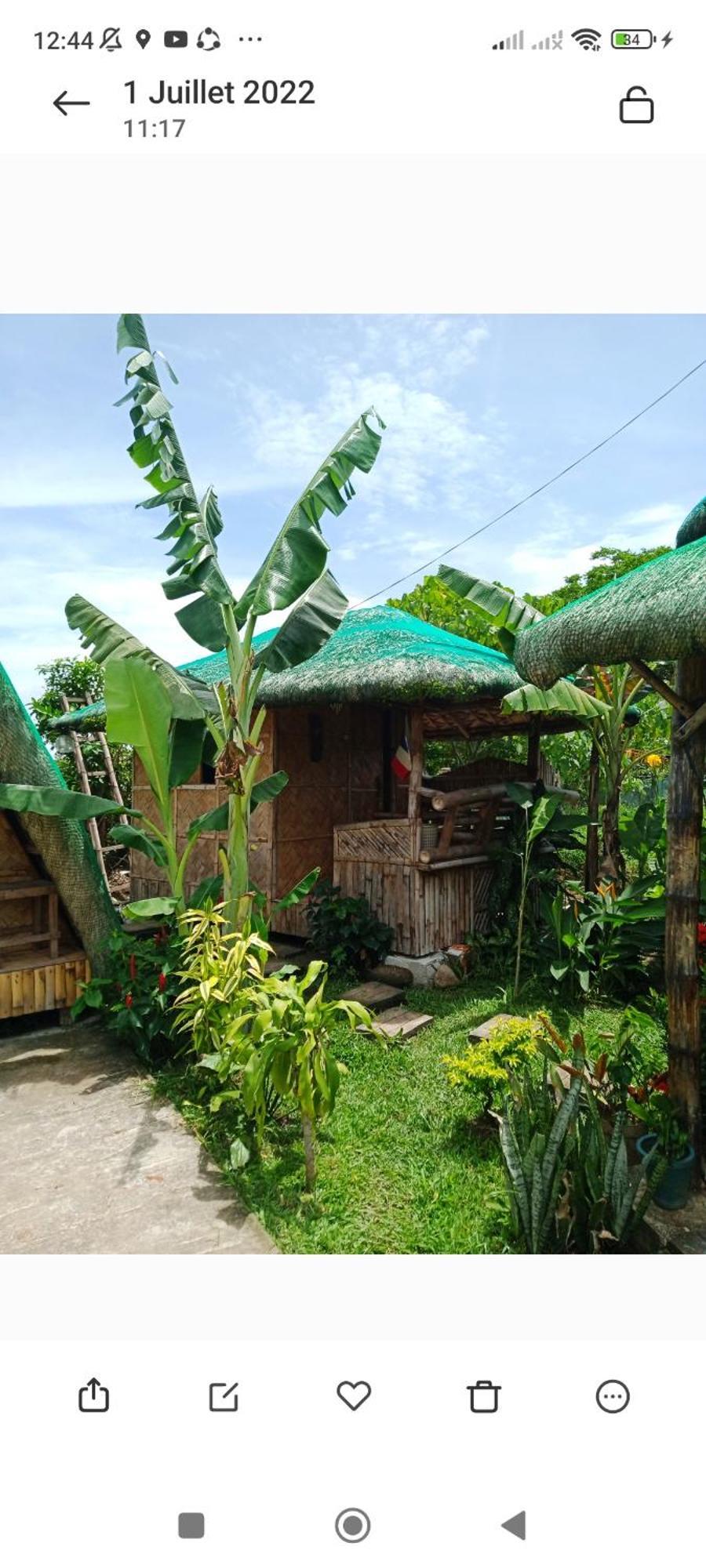 Dupas Luce Love Lodges Talipan Экстерьер фото